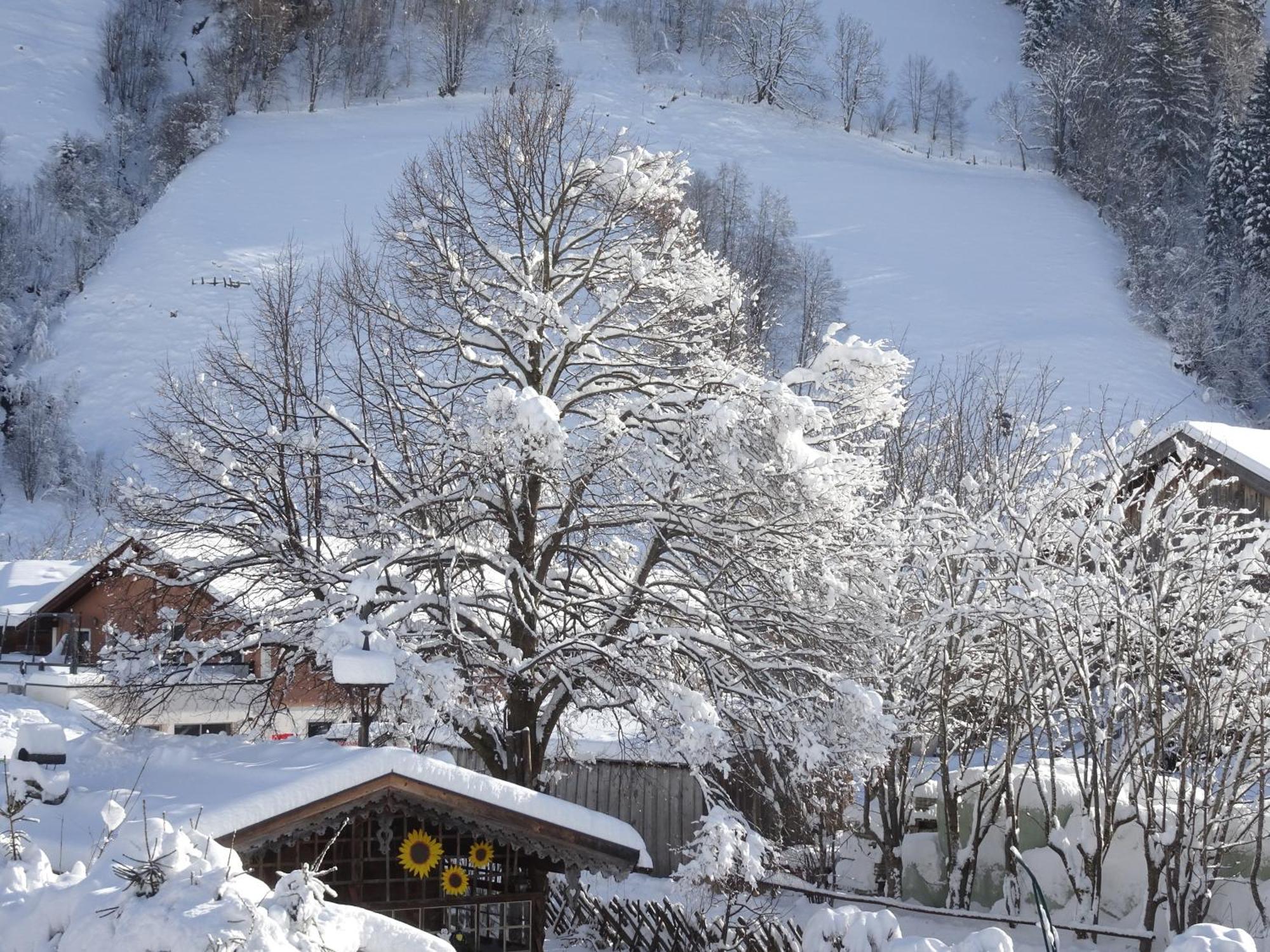 Apartment Gaestehaus Luggau Rauris Luaran gambar